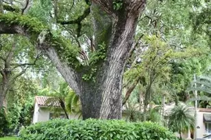 721 Tibidabo Ave, Coral Gables, FL 33143 - Photo 37