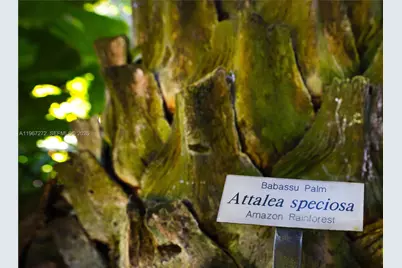 4867 SW 82nd St, Miami, FL 33143 - Photo 21