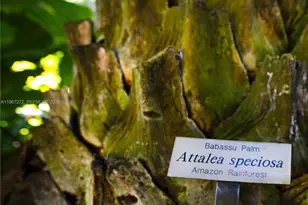 4867 SW 82nd St, Miami, FL 33143 - Photo 21