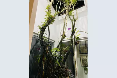 1460 Tagus Ave, Coral Gables, FL 33156 - Photo 35