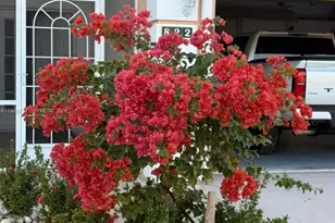 822 NW Sorrento Ln, Saint Lucie West, FL 34986 - Photo 3