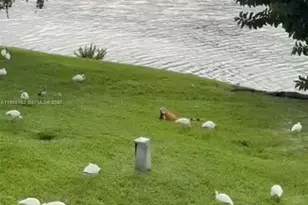 506 NW 87th Ave, Miami, FL 33172 - Photo 7