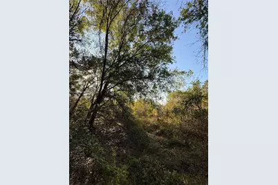 858 Woodland Blvd, Clewiston, FL 33440 - Photo 9