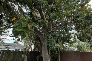 1249 NW 42nd St, Miami, FL 33142 - Photo 11