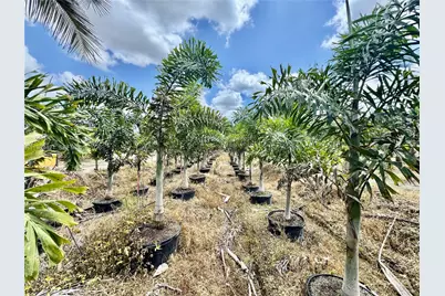 328Xx SW 202 Ave, Homestead, FL 33034 - Photo 7