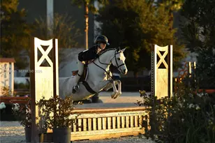 2625 SW 148th Ave, Davie, FL 33331 - Photo 51