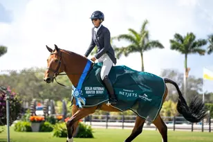 2625 SW 148th Ave, Davie, FL 33331 - Photo 47