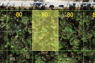 18161 Goliad Ave, Port Charlotte, FL 33954 - Photo 1