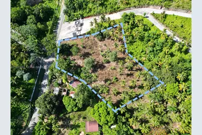 000 7Cwm+v4G Las Terrenas, Dominican Republic, , FL  - Photo 3