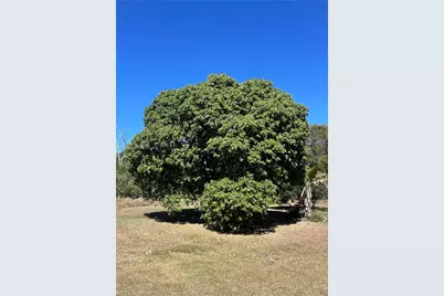 23755 SW 142nd Ave, Homestead, FL 33032 - Photo 75