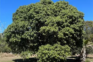 23755 SW 142nd Ave, Homestead, FL 33032 - Photo 75