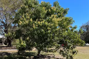 23755 SW 142nd Ave, Homestead, FL 33032 - Photo 71