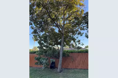 470 NE 127th St, North Miami, FL 33161 - Photo 5