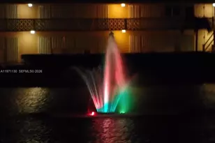 920 SW 11th Ave, Hallandale Beach, FL 33009 - Photo 29