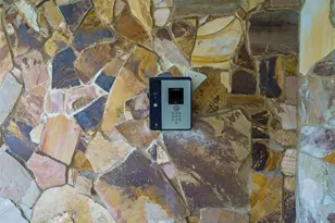 1000 NE 14th Ave, Hallandale Beach, FL 33009 - Photo 23