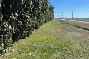 21201 SW 168th St, Miami, FL 33187 - Photo 1