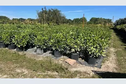 21201 SW 168th St, Miami, FL 33187 - Photo 7