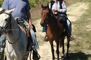 23261 Tuckahoe Rd, Other City - In The State Of Florida, FL 33920 - Photo 25