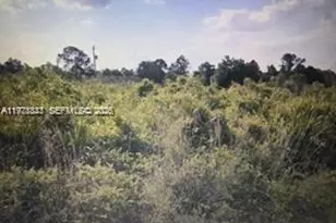 330 Hermosa Ave, Lehigh Acres, FL 33974 - Photo 1