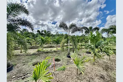 32802 SW 202 Ave, Homestead, FL 33034 - Photo 3