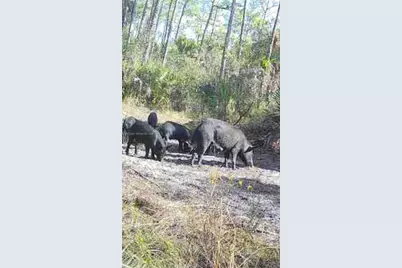 11500 SW Warfield, Indiantown, FL 34956 - Photo 53