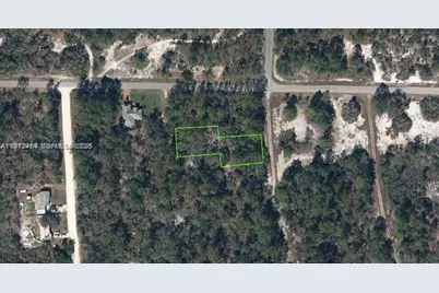 405 Blue Horizon, Lake Placid, FL 33852 - Photo 1