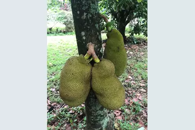 19401 SW 264th St, Homestead, FL 33031 - Photo 17