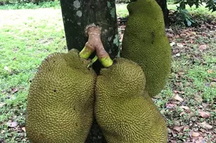 19401 SW 264th St, Homestead, FL 33031 - Photo 17