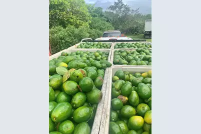 19401 SW 264th St, Homestead, FL 33031 - Photo 15