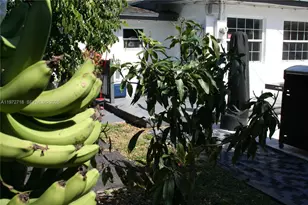 6532 Mayo St, Hollywood, FL 33023 - Photo 41