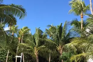 680 NE 64th St, Miami, FL 33138 - Photo 9