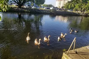 801 S Biscayne River Dr, Miami, FL 33169 - Photo 49