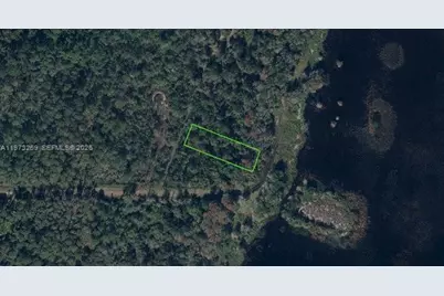 831 Pulerum Drive, Lake Placid, FL 33852 - Photo 1