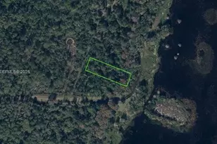 831 Pulerum Dr, Lake Placid, FL 33852 - Photo 1