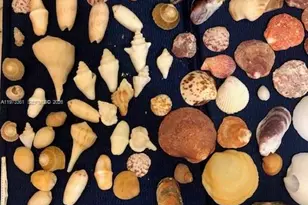 2200 S Ocean Dr, Hollywood, FL 33019 - Photo 37