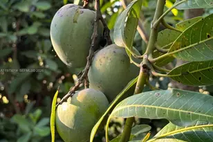 20825 SW 242nd St, Homestead, FL 33031 - Photo 49