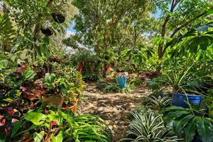 3820 Plaza St, Miami, FL 33133 - Photo 9