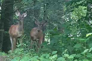 [Address not provided], , FL 32807 - Photo 27