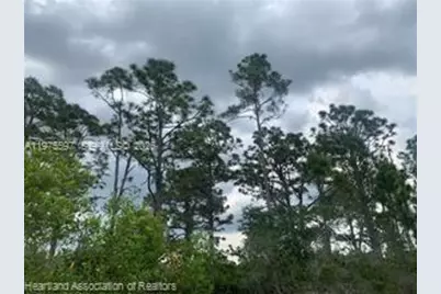 615 Wildflower Street, Lake Placid, FL 33852 - Photo 17