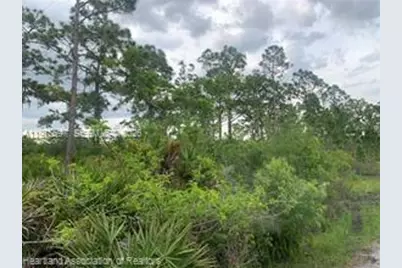 615 Wildflower Street, Lake Placid, FL 33852 - Photo 7