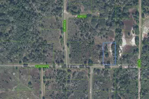 3160 W Jurgenson Rd, Avon Park, FL 33825 - Photo 1