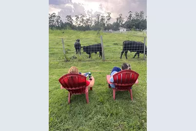 404 Red Hawk Loop, Winter Haven, FL 33880 - Photo 23