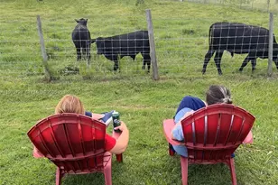 404 Red Hawk Loop, Winter Haven, FL 33880 - Photo 23