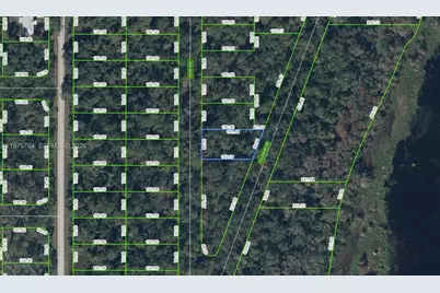 927 Kirby Avenue, Lake Placid, FL 33852 - Photo 1