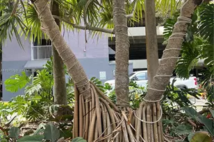 850 N Miami Ave, Miami, FL 33136 - Photo 35