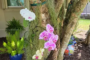 13022 SW 113th Pl, Miami, FL 33176 - Photo 71