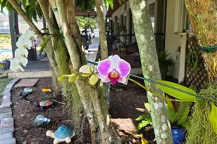 13022 SW 113th Pl, Miami, FL 33176 - Photo 69