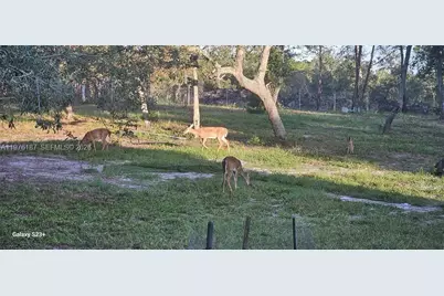 40140 Swift Rd, Other City - In The State Of Florida, FL 32736 - Photo 37