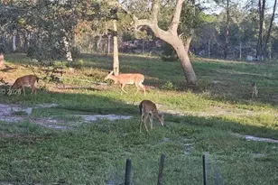 40140 Swift Rd, Other City - In The State Of Florida, FL 32736 - Photo 37