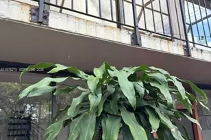 3190 Bird Ave, Coconut Grove, FL 33133 - Photo 15